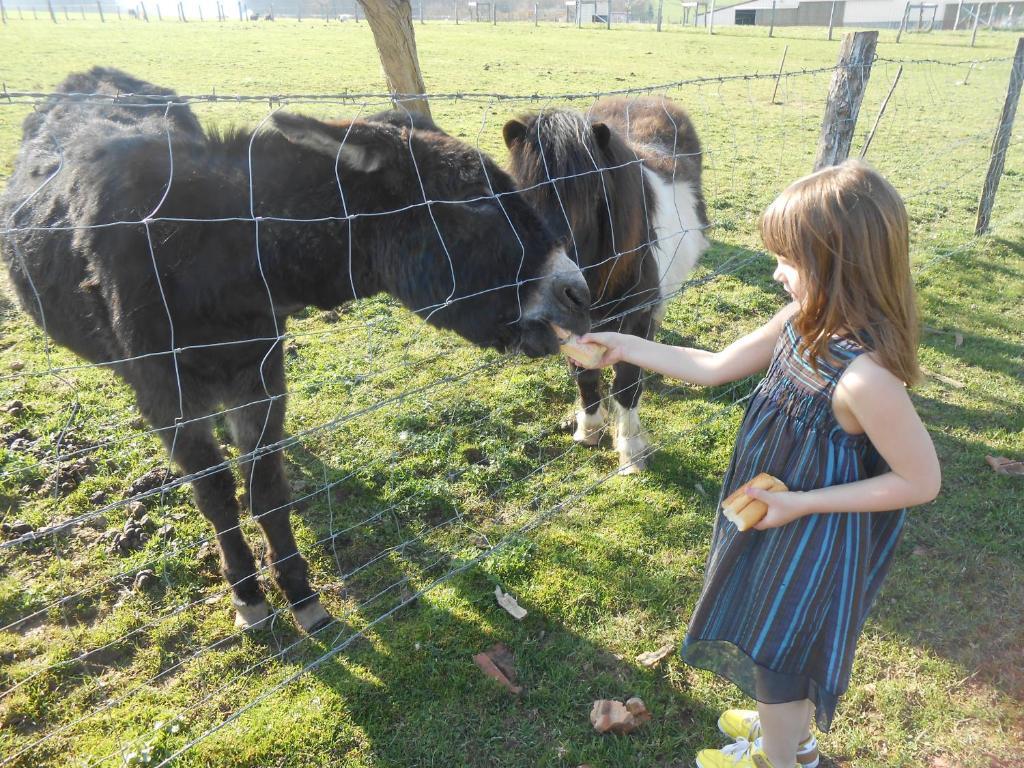 La Ferme Des 3 Suissesses Bed & Breakfast Saint-Paul  Екстериор снимка